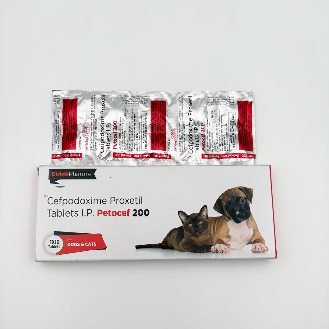 Petocef 200 Cefpodoxime Proxetil Tablets open