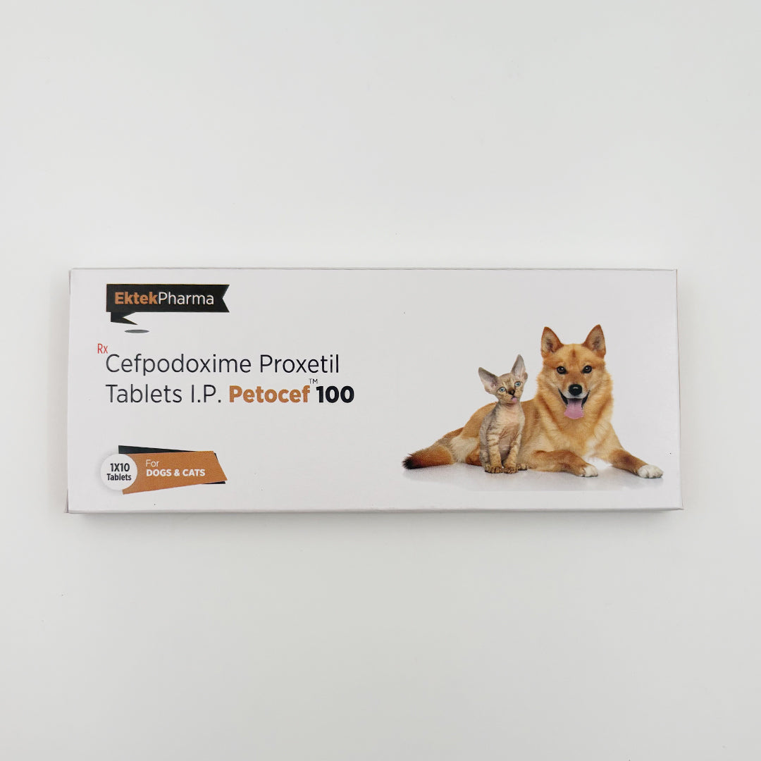 Petocef 100 Cefpodoxime Proxetil Tablets for Dogs and Cats – Front Pack