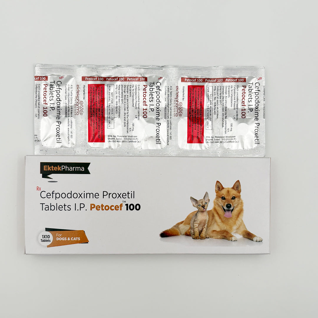 Petocef 100 veterinary antibiotic tablets 1×10 strip