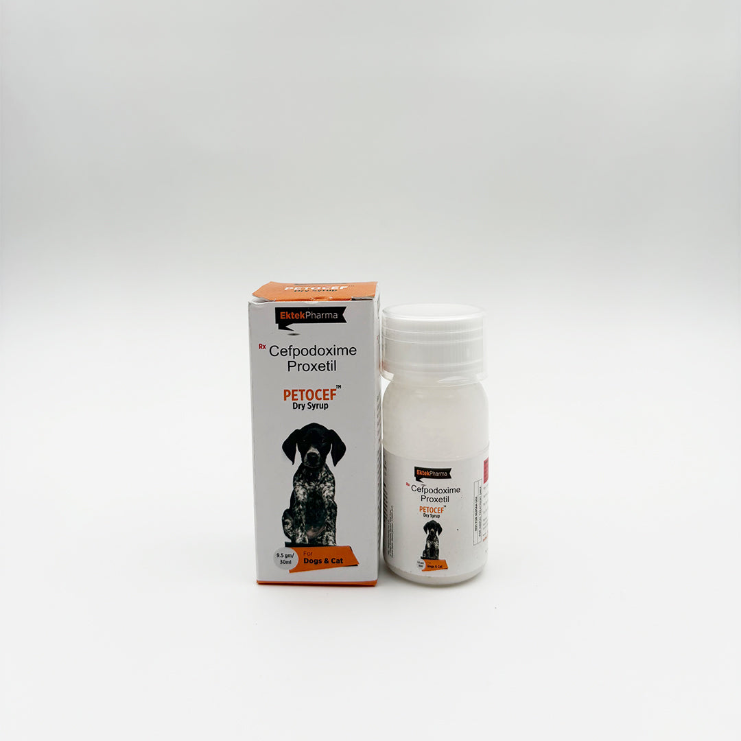 Petocef Dry Syrup Cefpodoxime Proxetil for dogs and cats front view