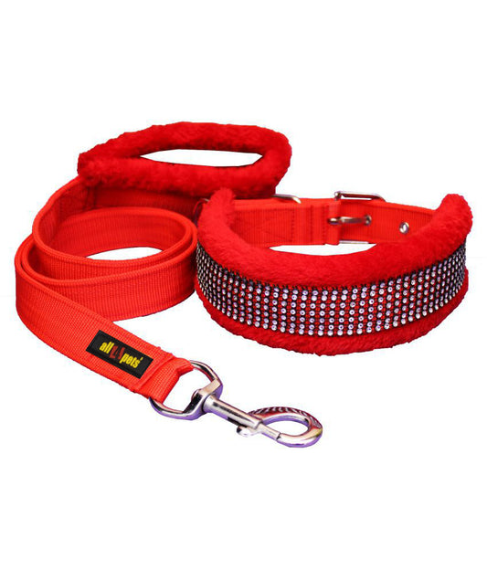 Red dog collar and leash set in india 