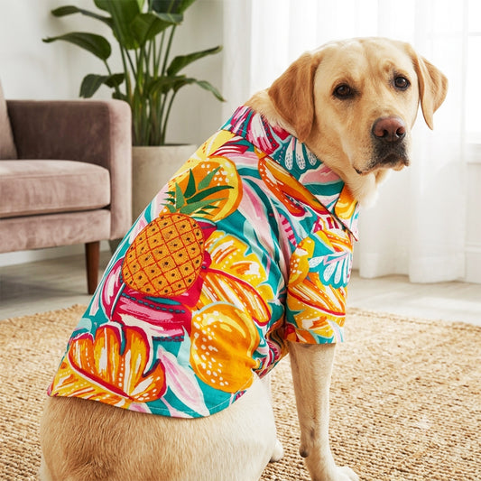 dog wearing Pineapple Embroidered Shirt for Dog