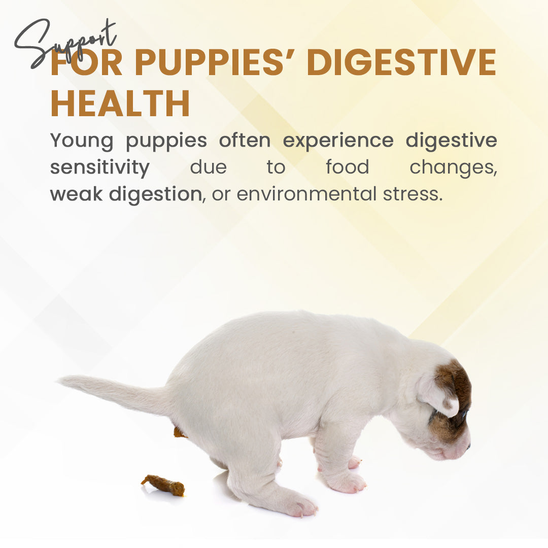Prevent loose stool with Poop Firm Tablets