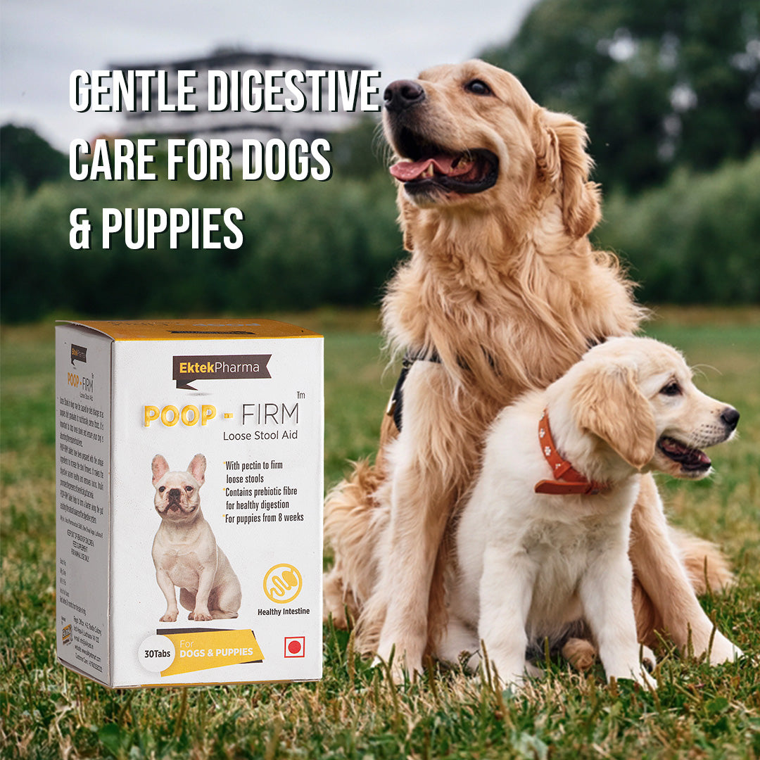 poop firm tablets for dog and puppies
