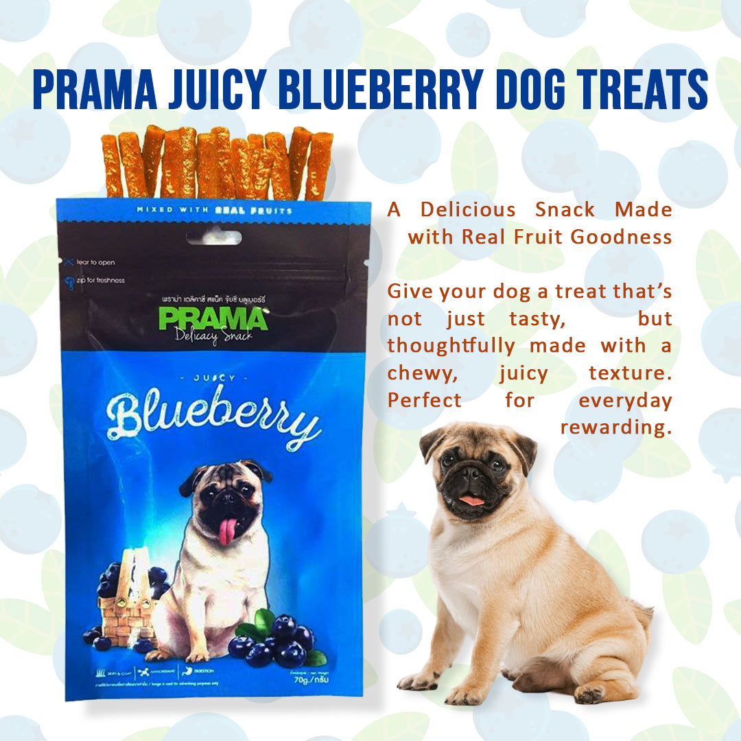 Prama Juicy Blueberry Flavoured Treats for Dogs (Pack of 2)