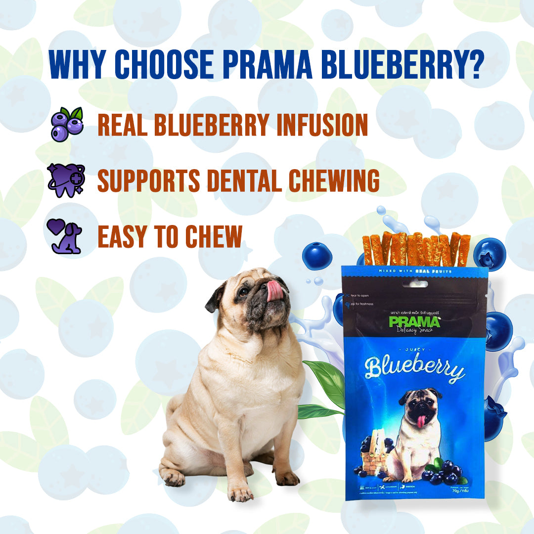Prama Juicy Blueberry Flavoured Treats for Dogs (Pack of 2)