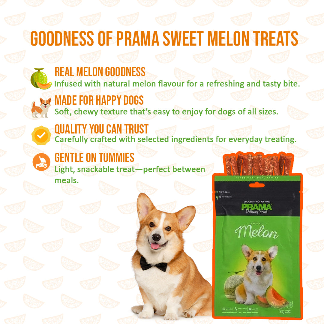 Prama Sweet Melon dog snacks soft chew sticks
