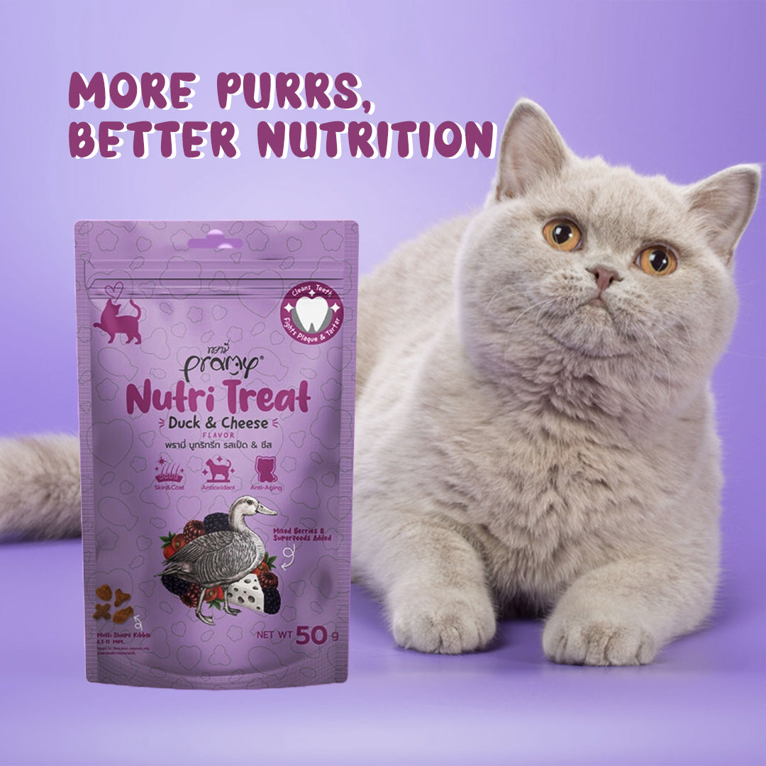Pramy Nutri Treat Duck & Cheese Flavor | Soft & Creamy Cat Treat (Pack of 2)