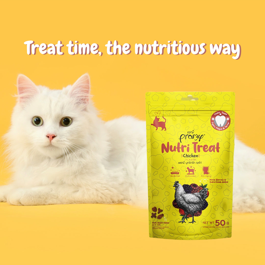 Pramy Nutri Treat Chicken Flavor for Cats
