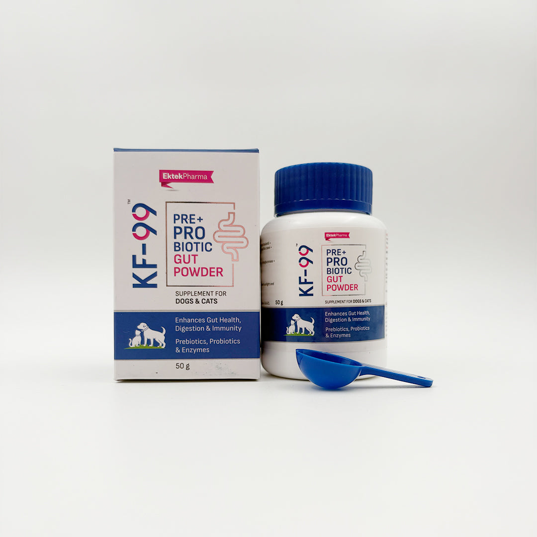 KF-99 Pre+ Pro Biotic Gut Powder | Digestive Supplement – Ektek Global