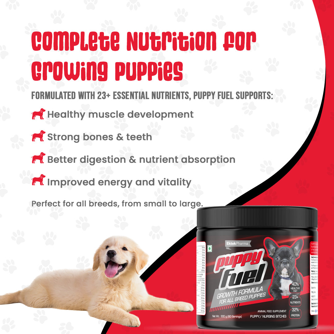 Puppy-fuel-benefits