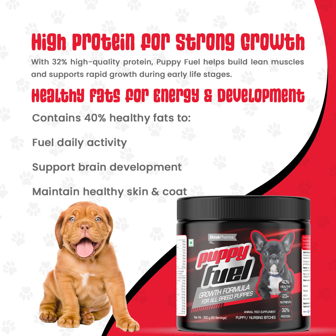 Puppy-fuel-for-strong-growth-for-healthy-fat