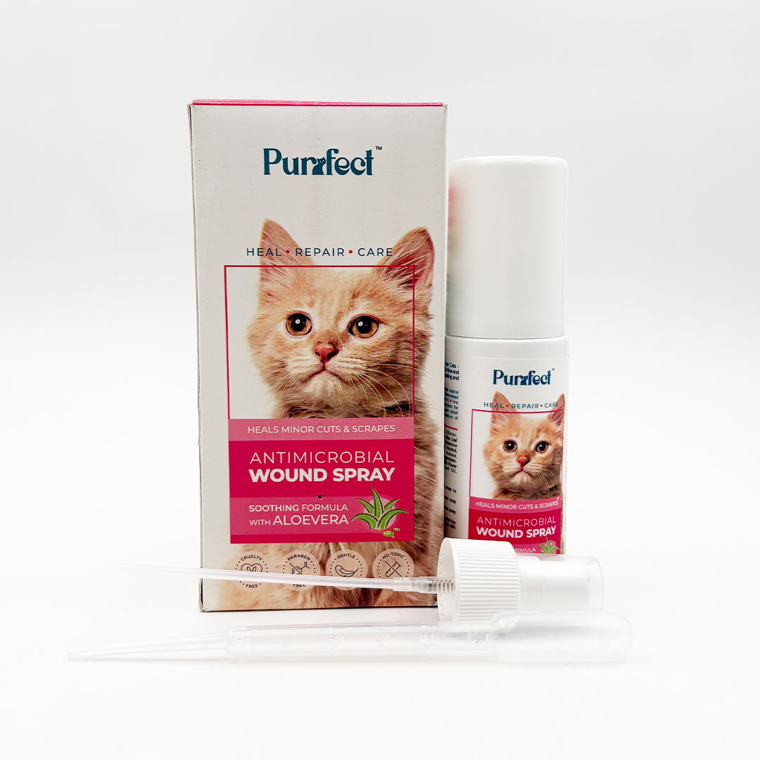 Purrfect Cat Wound Spray with Aloe Vera