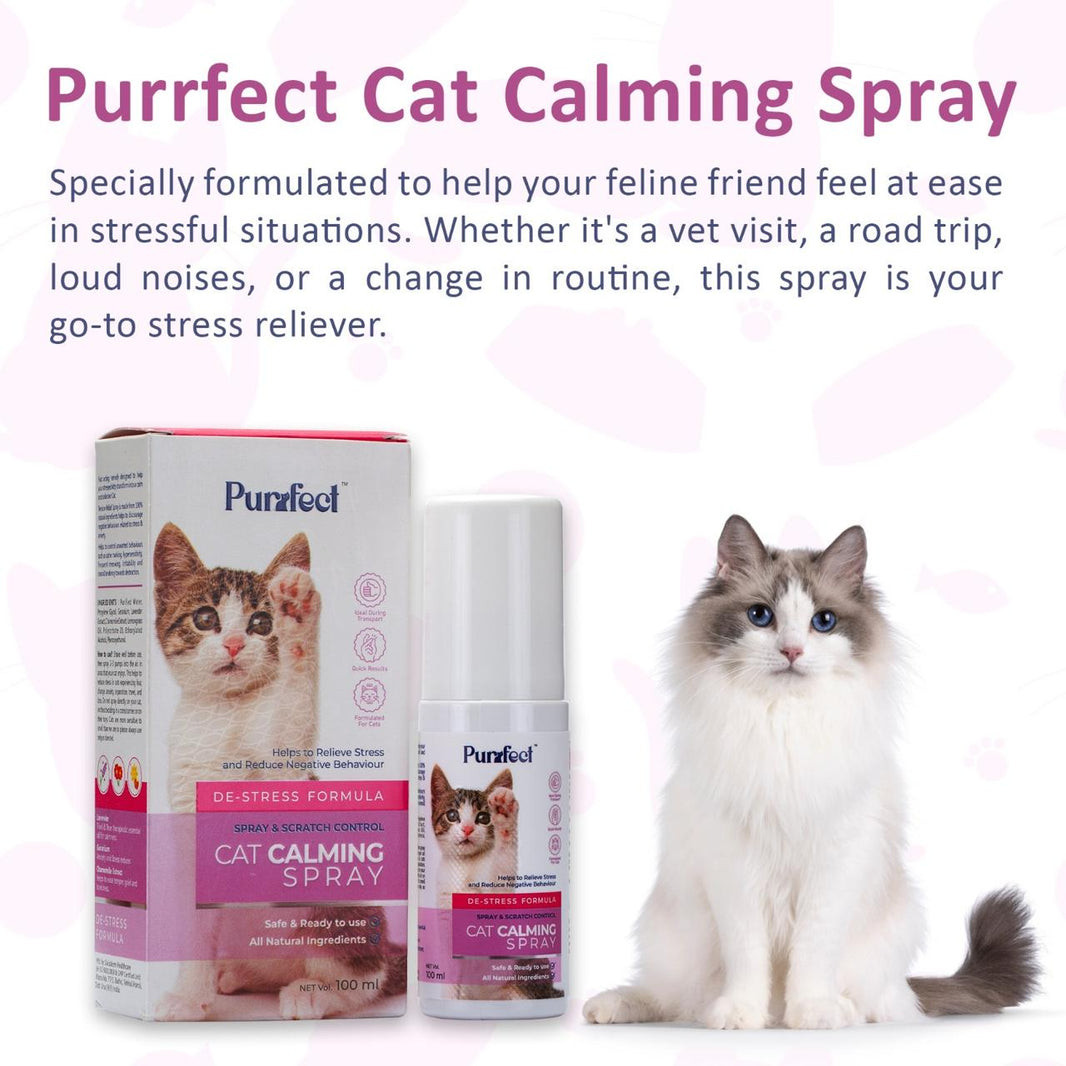 Purrfect Collection Online | Ektek Global – Ektek Global