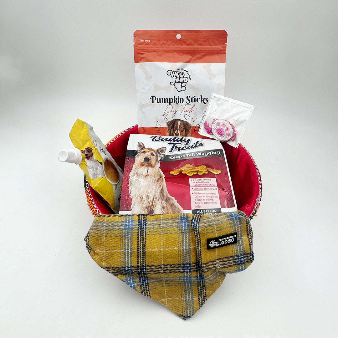 Pet Rakhi Hamper