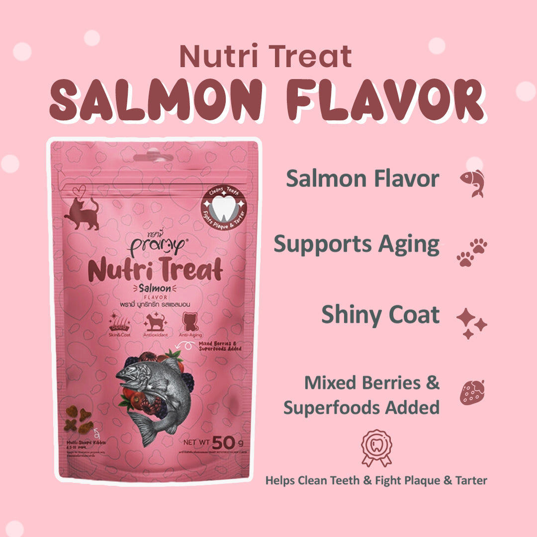 Salmon flavored cat treats in multi-shape kibble form