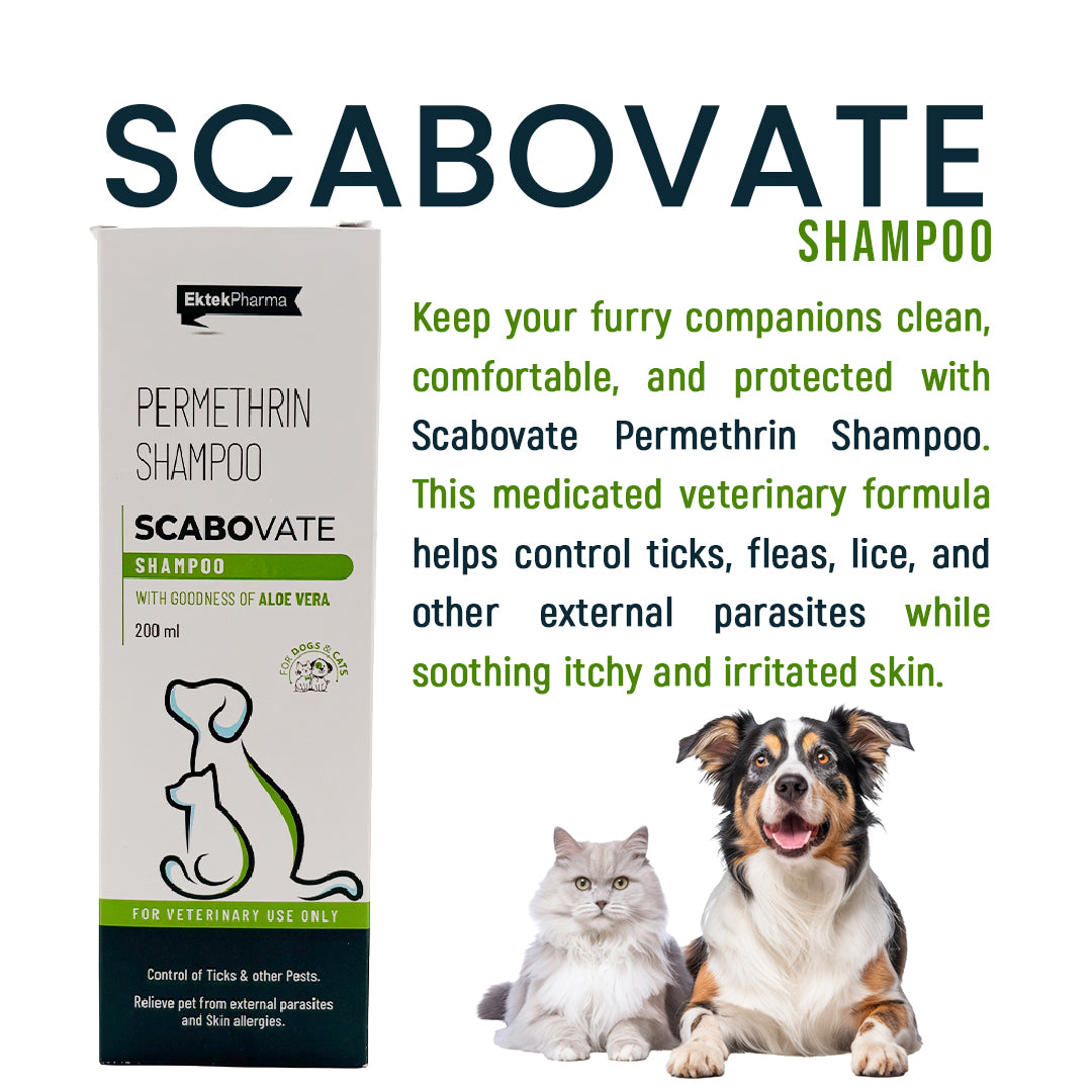 Scabovate-shampoo-introduction