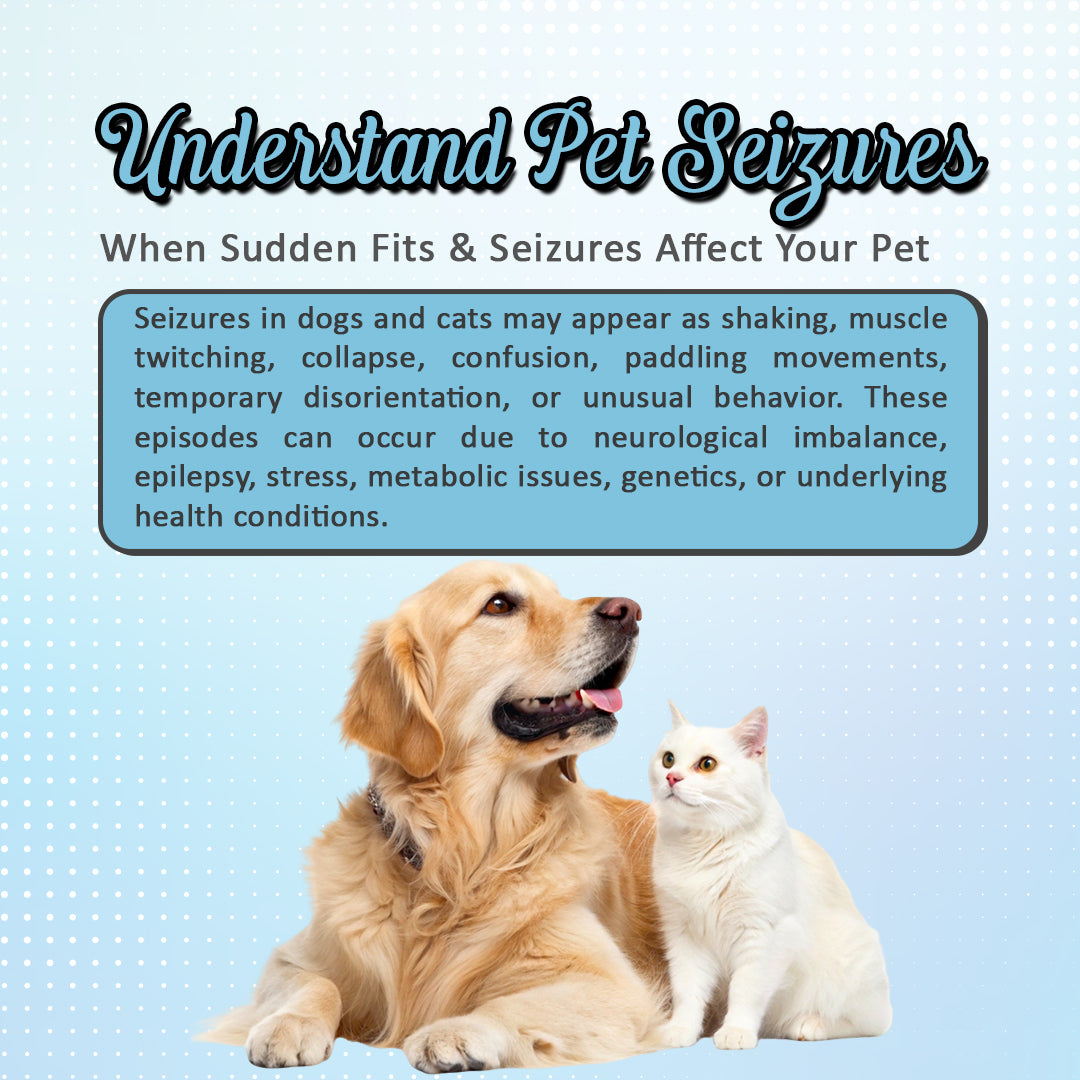 understand why pet need Sezopet Drops for Dogs & Cats