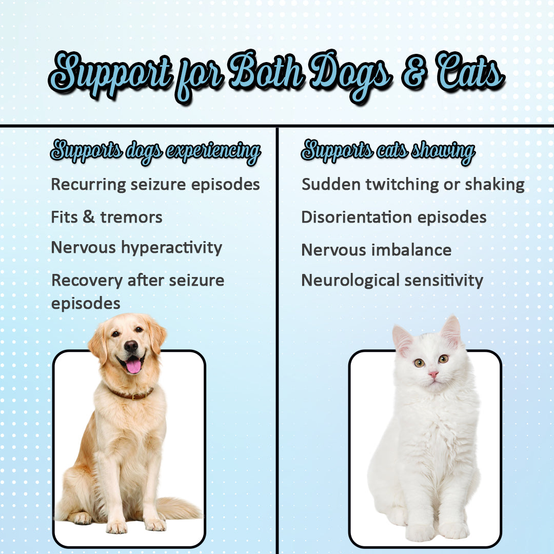 How Sezopet Drops works on cats and dogs