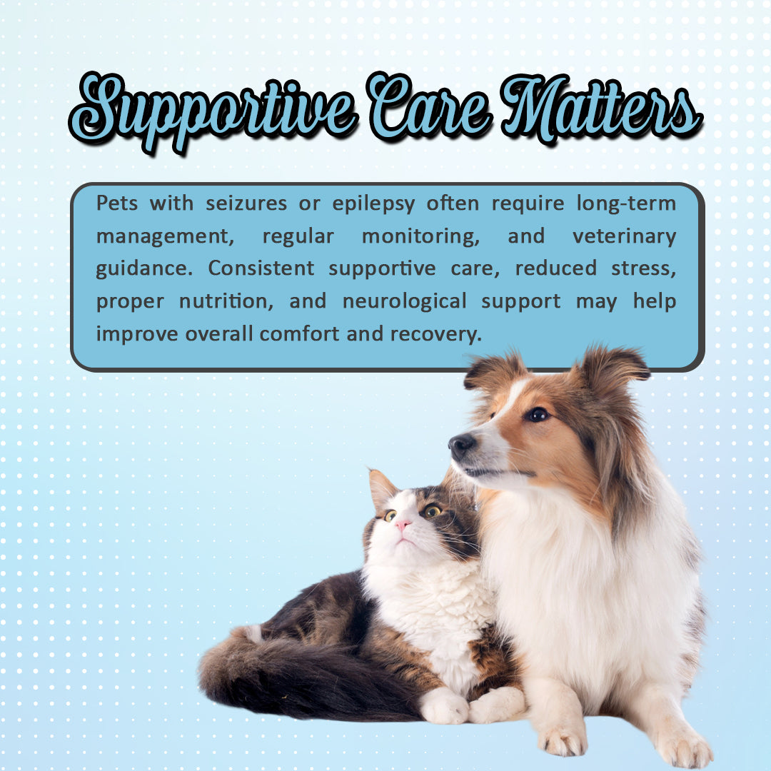 care matters for the recovery from seizures with Sezopet Drops