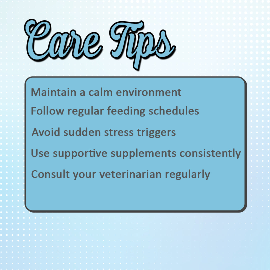 Tips for seizure and fits in dogs and cats 