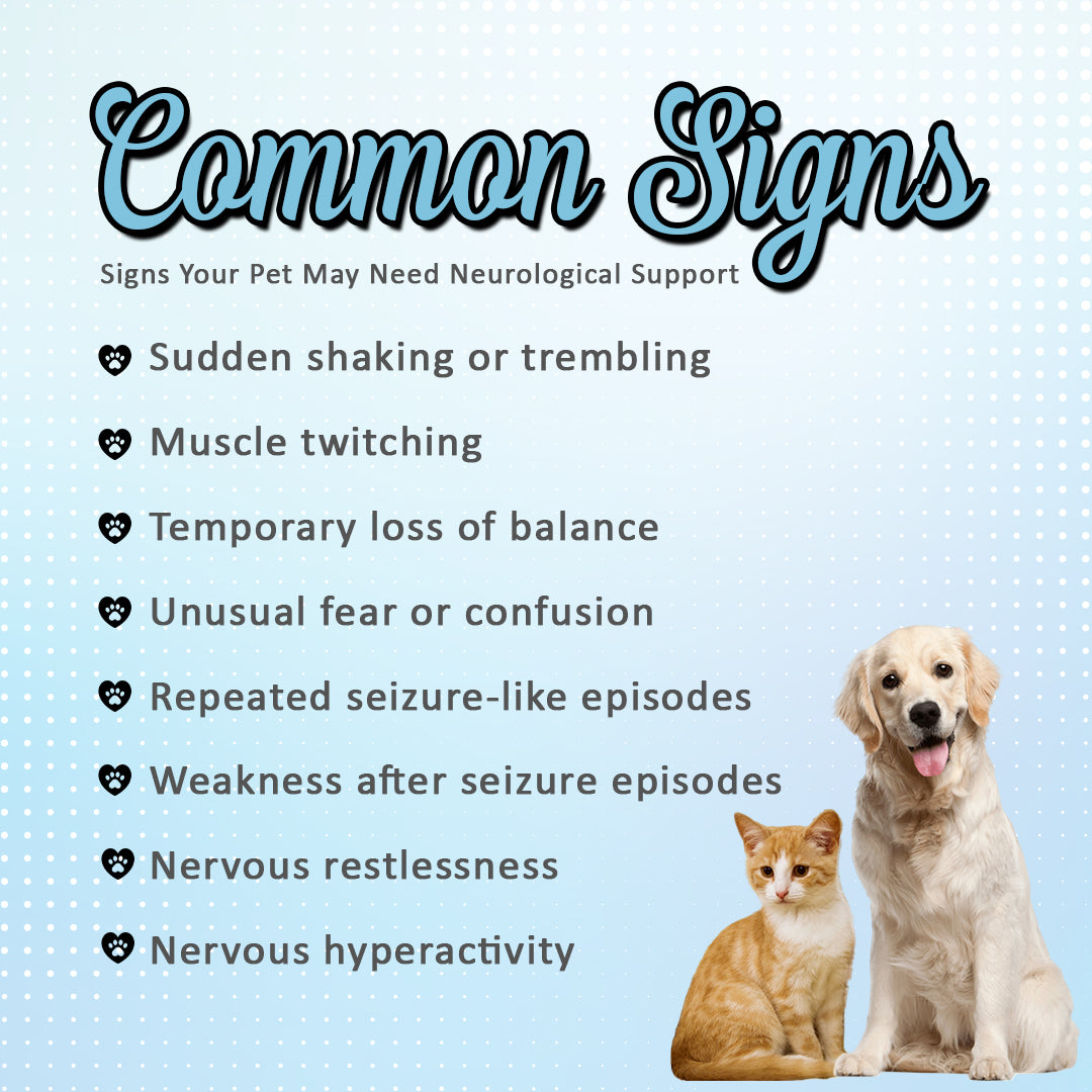 common signs of Seizure and fit problem in dogs and cats - Sezopet Drops