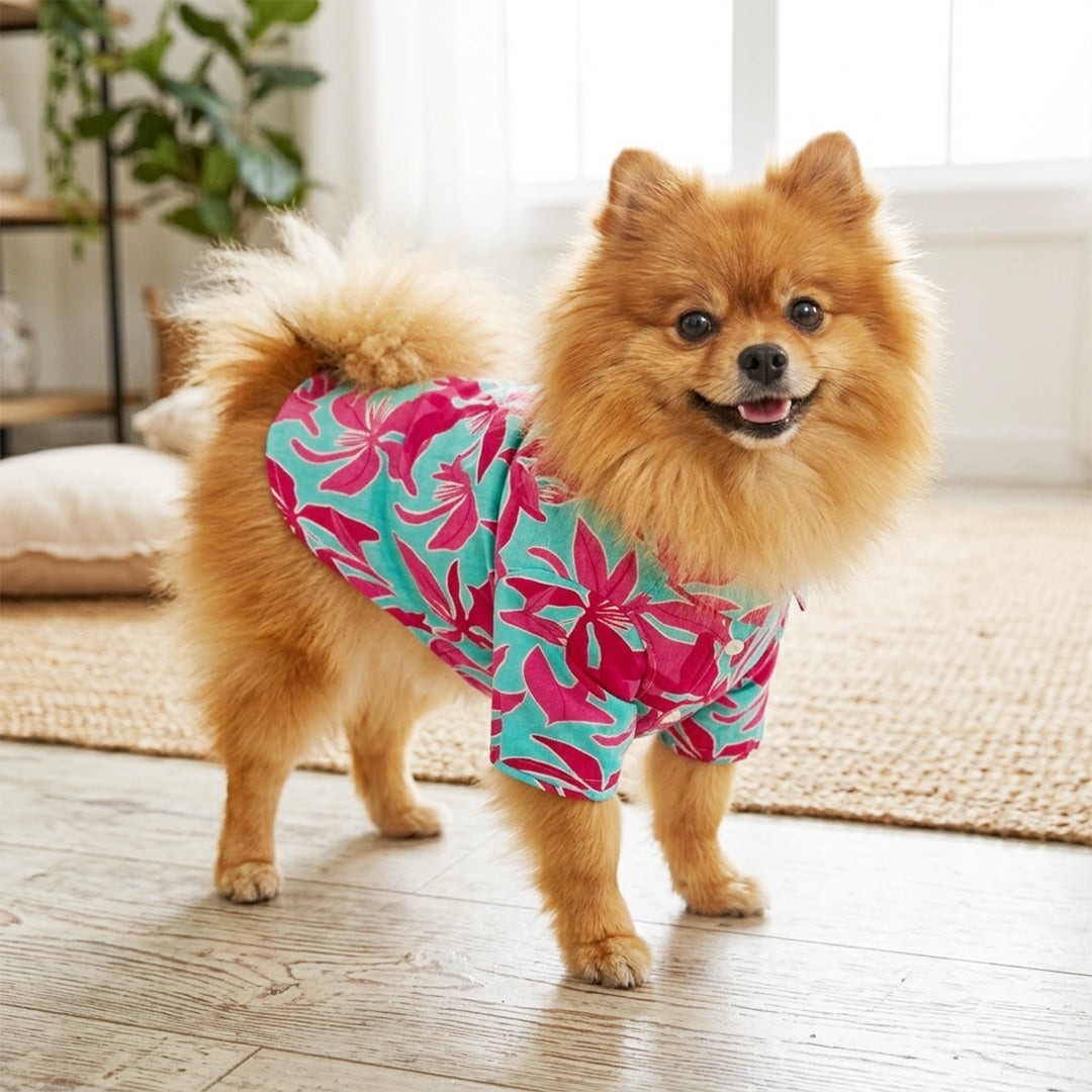 Print Shirt for Dog