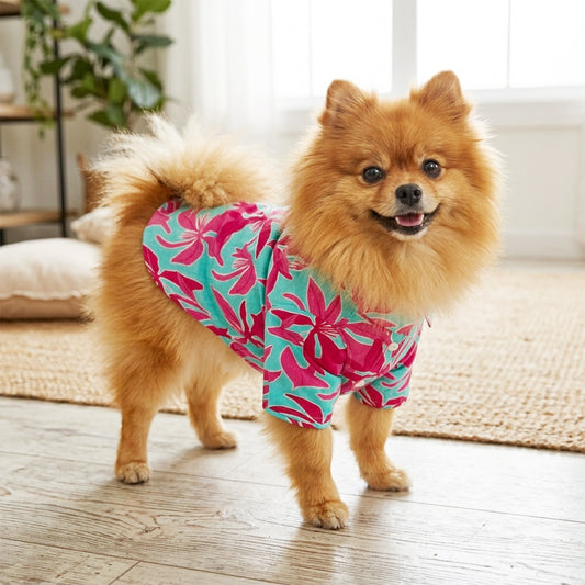 Print Shirt for Dog