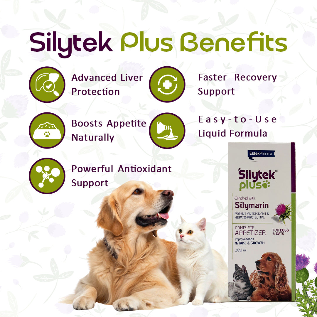 benefits of Silytek Plus liver tonic syrup