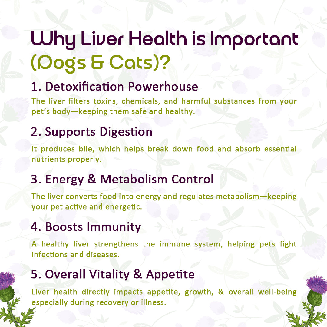 features of Silytek Plus liver tonic syrup
