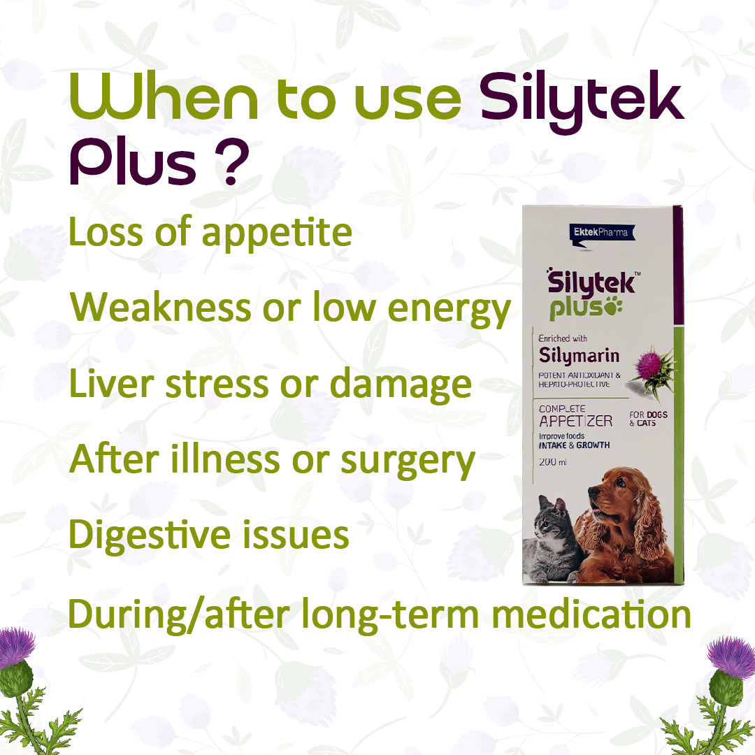 Silytek Plus liver tonic syrup for dogs and cats