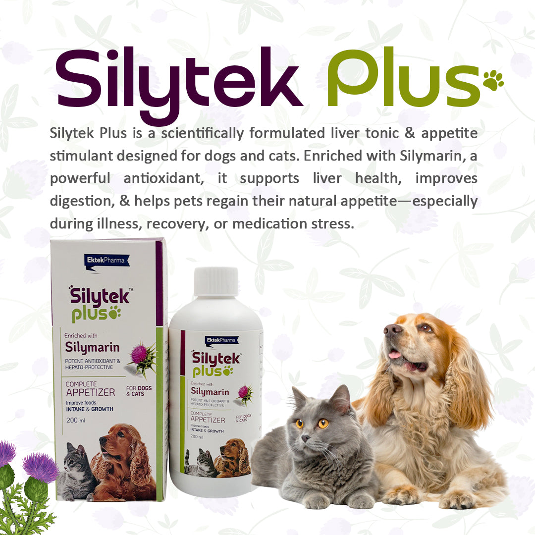 Silytek-Plus-intro