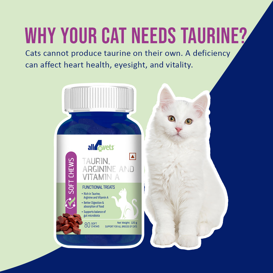 Soft-chews-cat-treat-better-eyesight