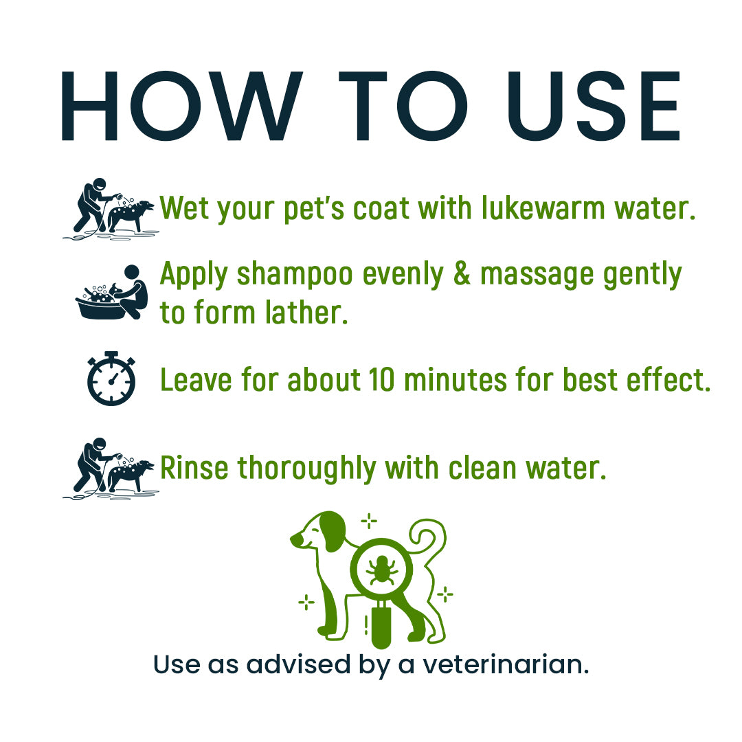 Steps to use Scabovate shampoo