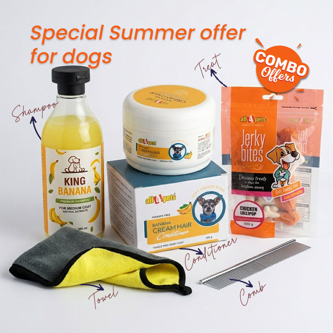 Summer Essential Kit for Dogs