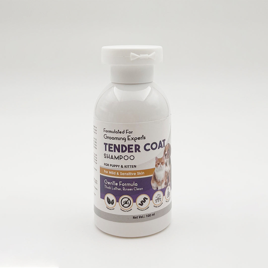 Coat Care Shampoo & Conditioner for Dogs & Cats