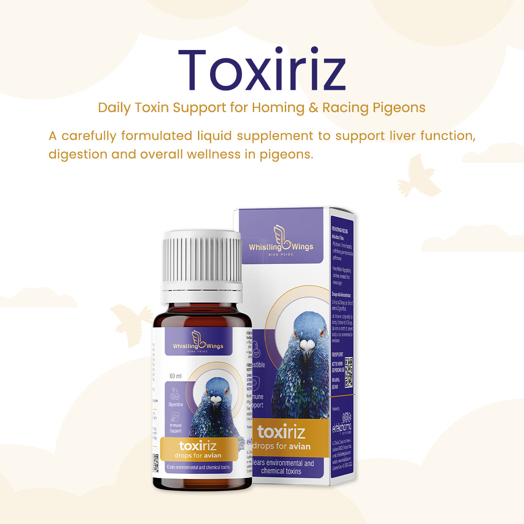 Toxiriz Drops for Avian 60ml | Nutritional Supplement for Pigeons