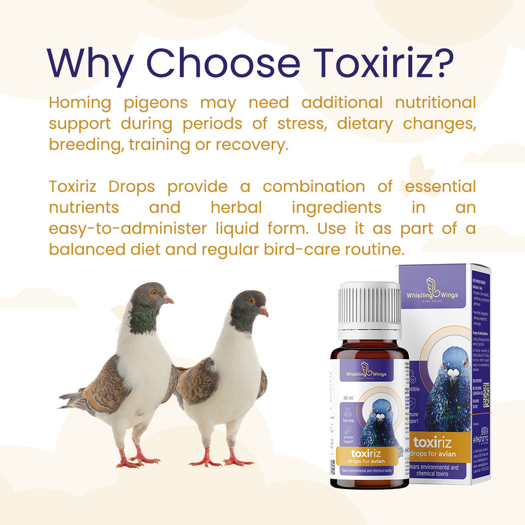 Toxiriz Drops for Avian 60ml | Nutritional Supplement for Pigeons
