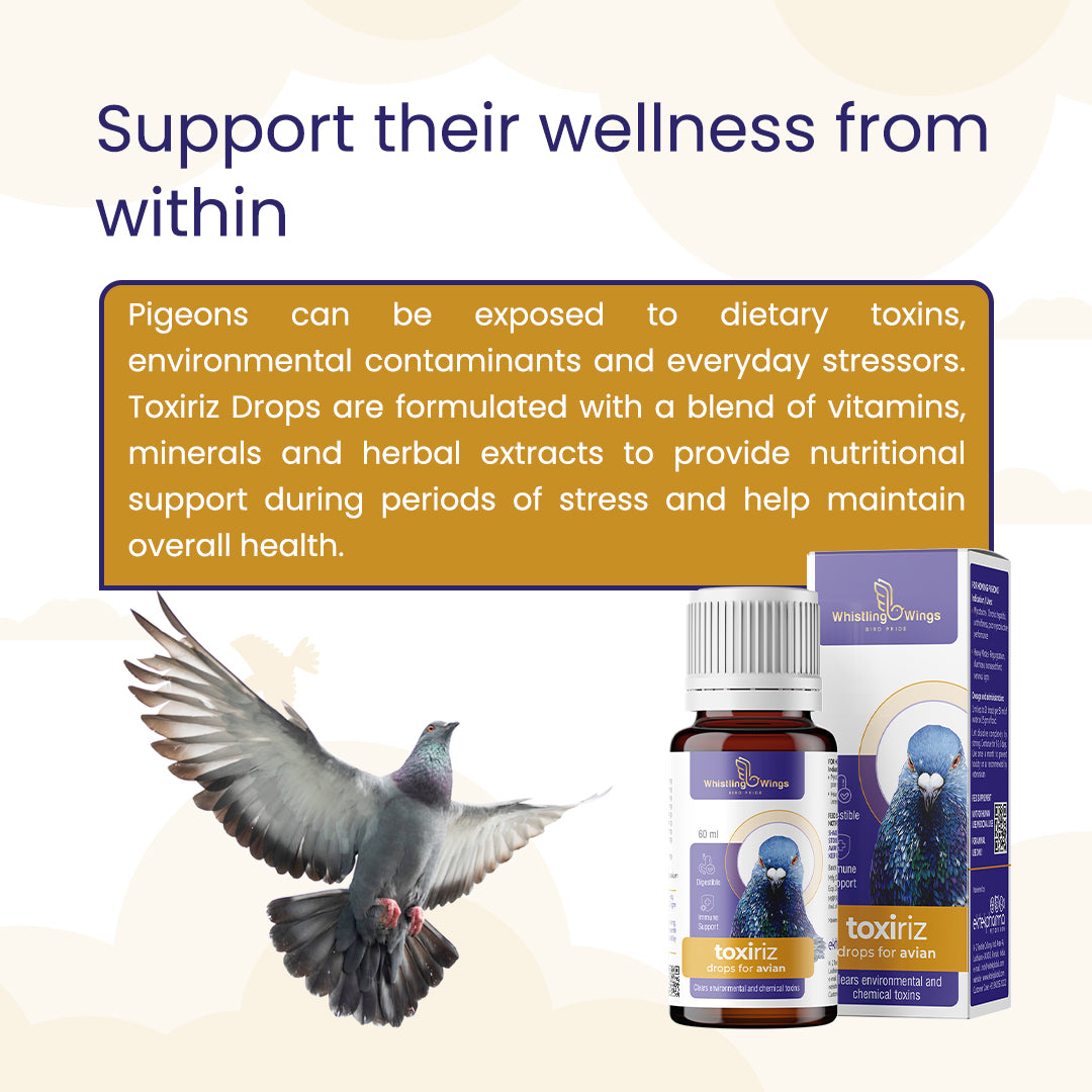 Toxiriz Drops for Avian 60ml | Nutritional Supplement for Pigeons