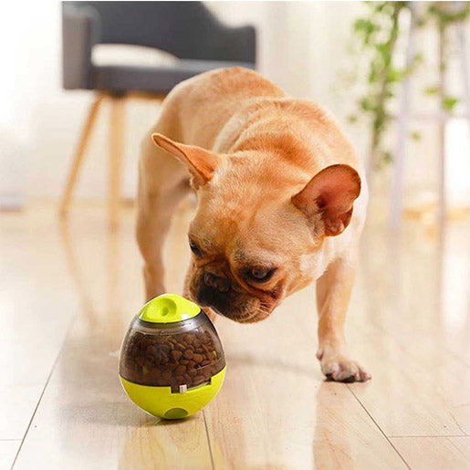 All4pets Playing product for Dog(Tumbler Food ball for dog)