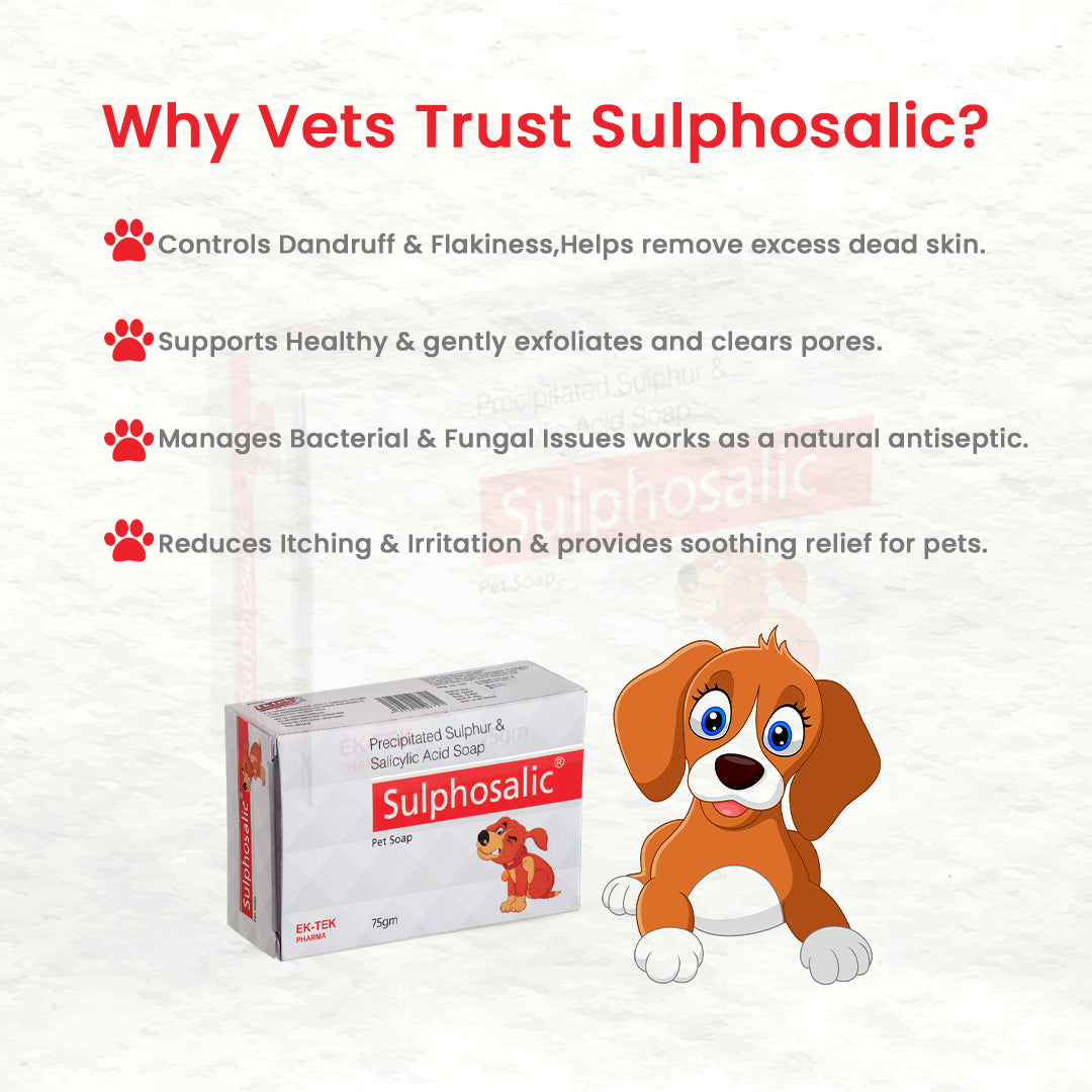 Vet-recommended antibacterial soap for dogs with skin issues
