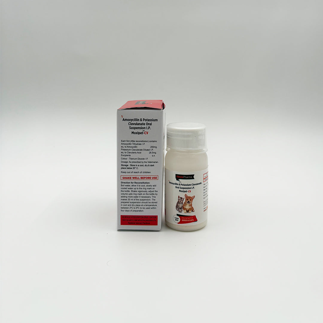 Veterinary antibiotic syrup for pets Moxipet-CV