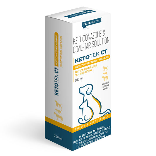 KETOTEK CT DOG SHAMPOO 200ML (For Flaking, Scaling & itching)