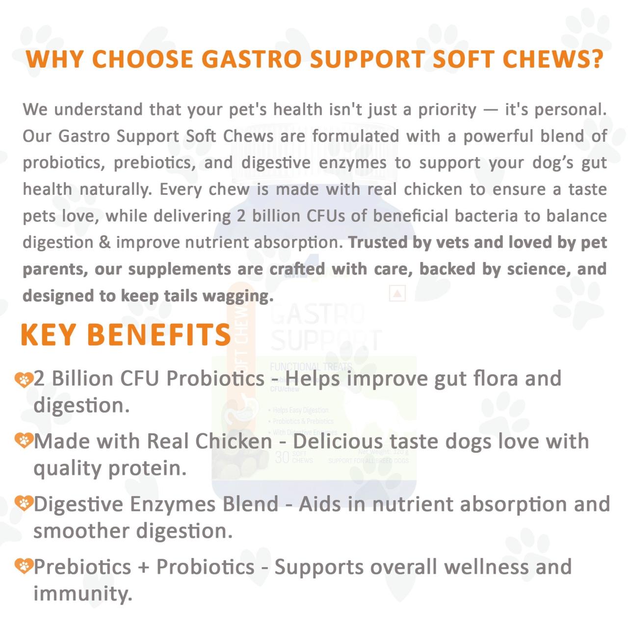 SOFT CHEWS- GASTRO SUPPORT FOR DOGS