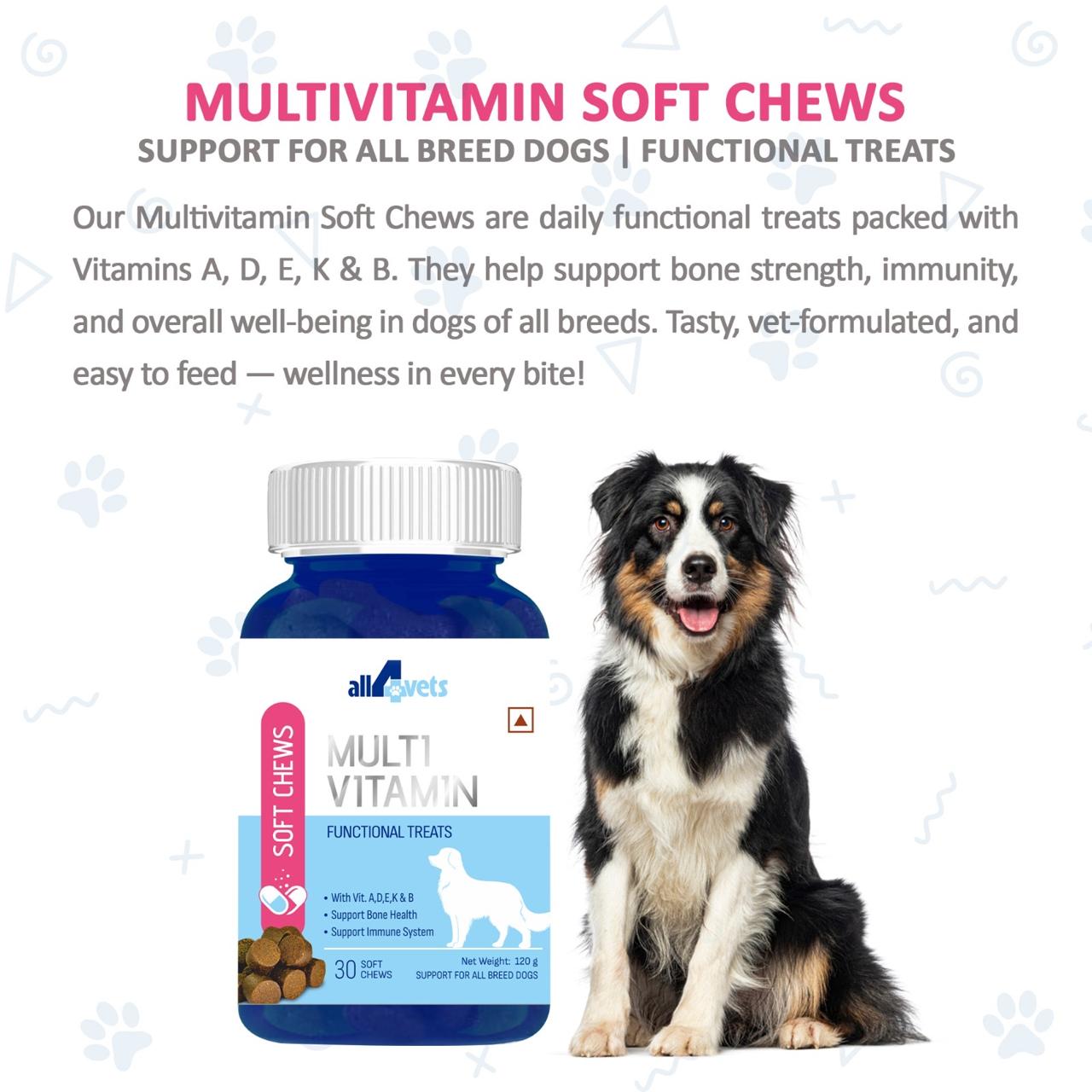 SOFT CHEWS- MULTI VITAMIN FOR DOGS