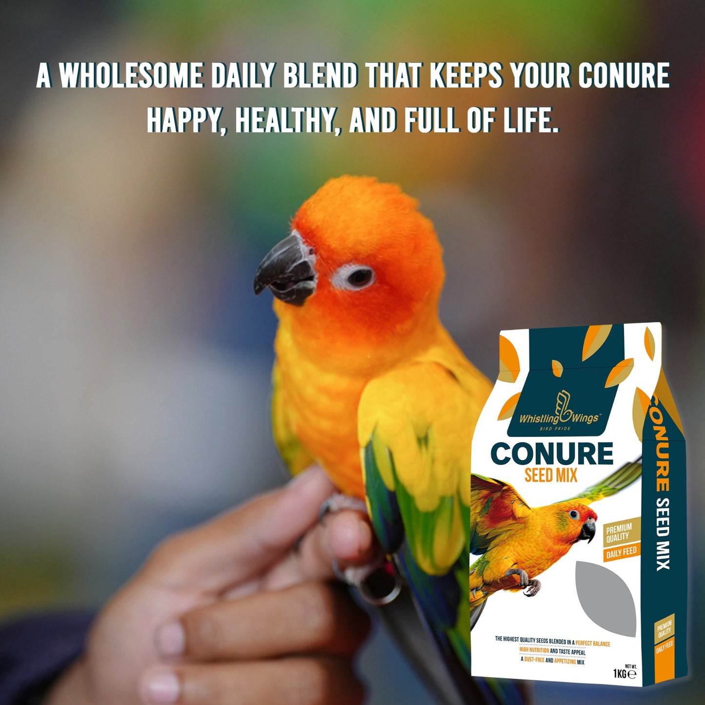 Whistling Wings Conure Seed Mix – Premium Quality Daily Feed