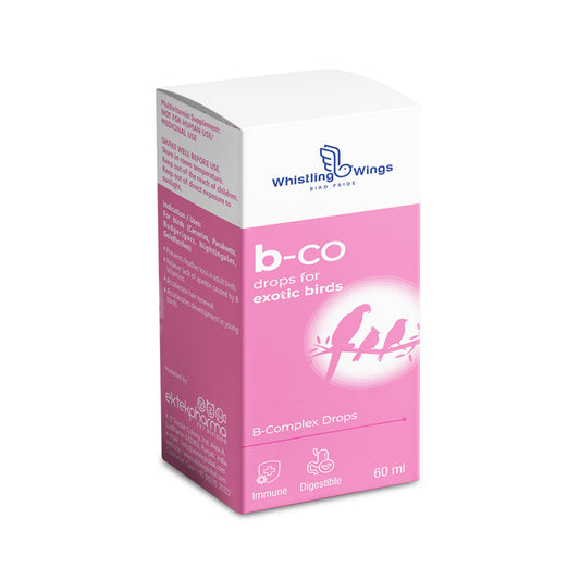 B-Co Drops for Exotic Birds 60 ML – Vitamin B Supplement for Feather Health & Appetite | Ektek Global