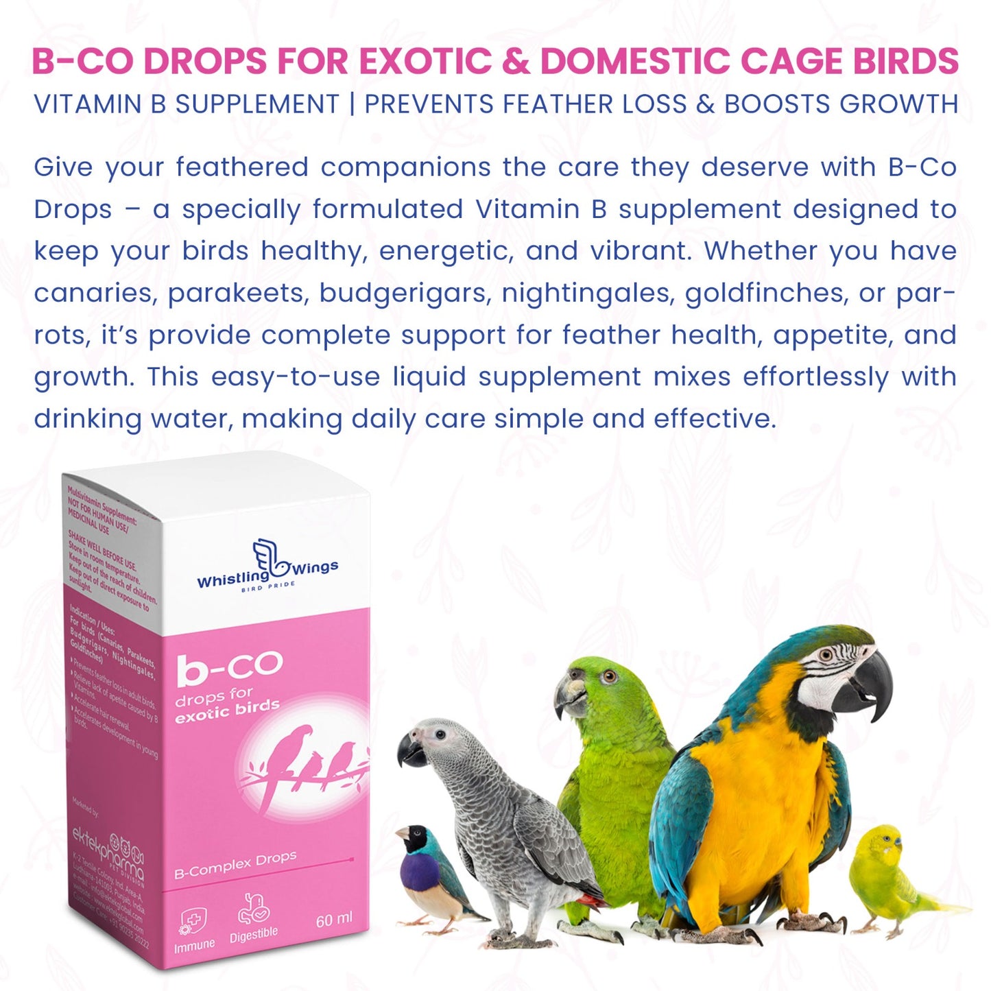 B-Co Drops for Exotic Birds 60 ML – Vitamin B Supplement for Feather Health & Appetite | Ektek Global