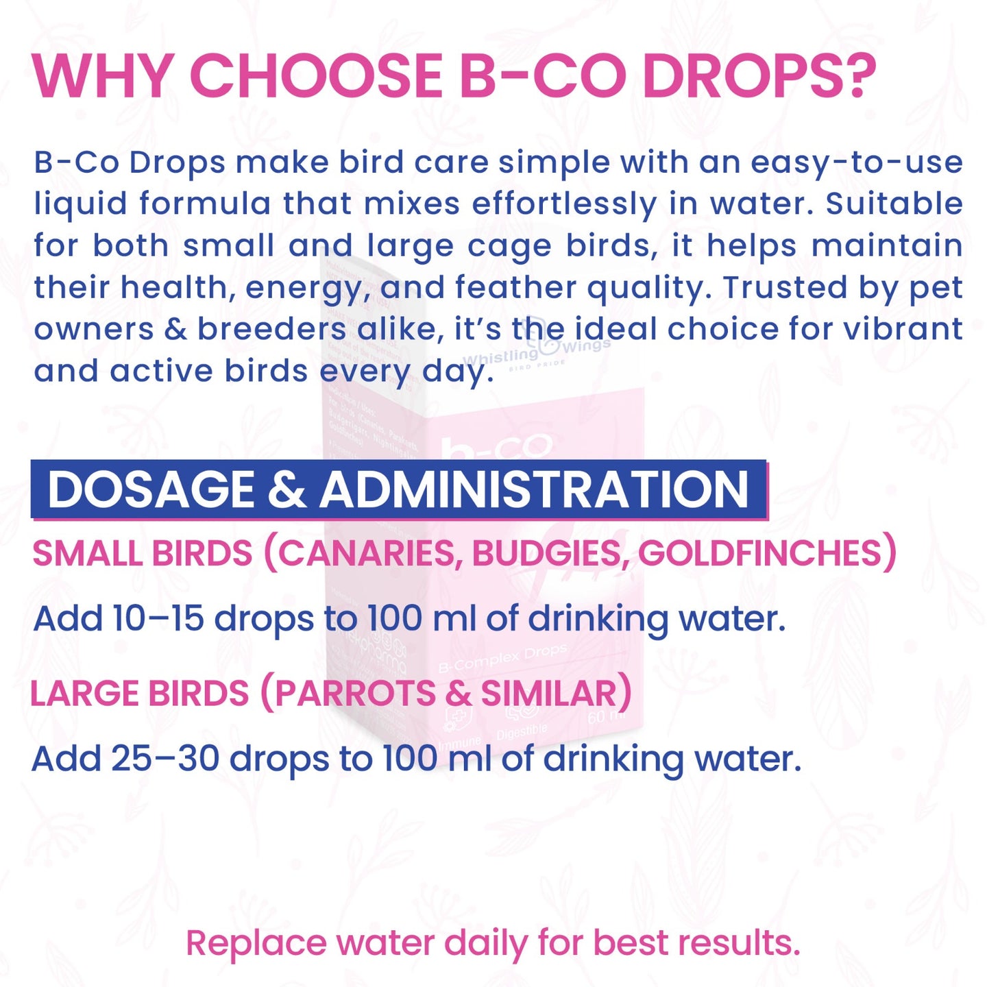 B-Co Drops for Exotic Birds 60 ML – Vitamin B Supplement for Feather Health & Appetite | Ektek Global