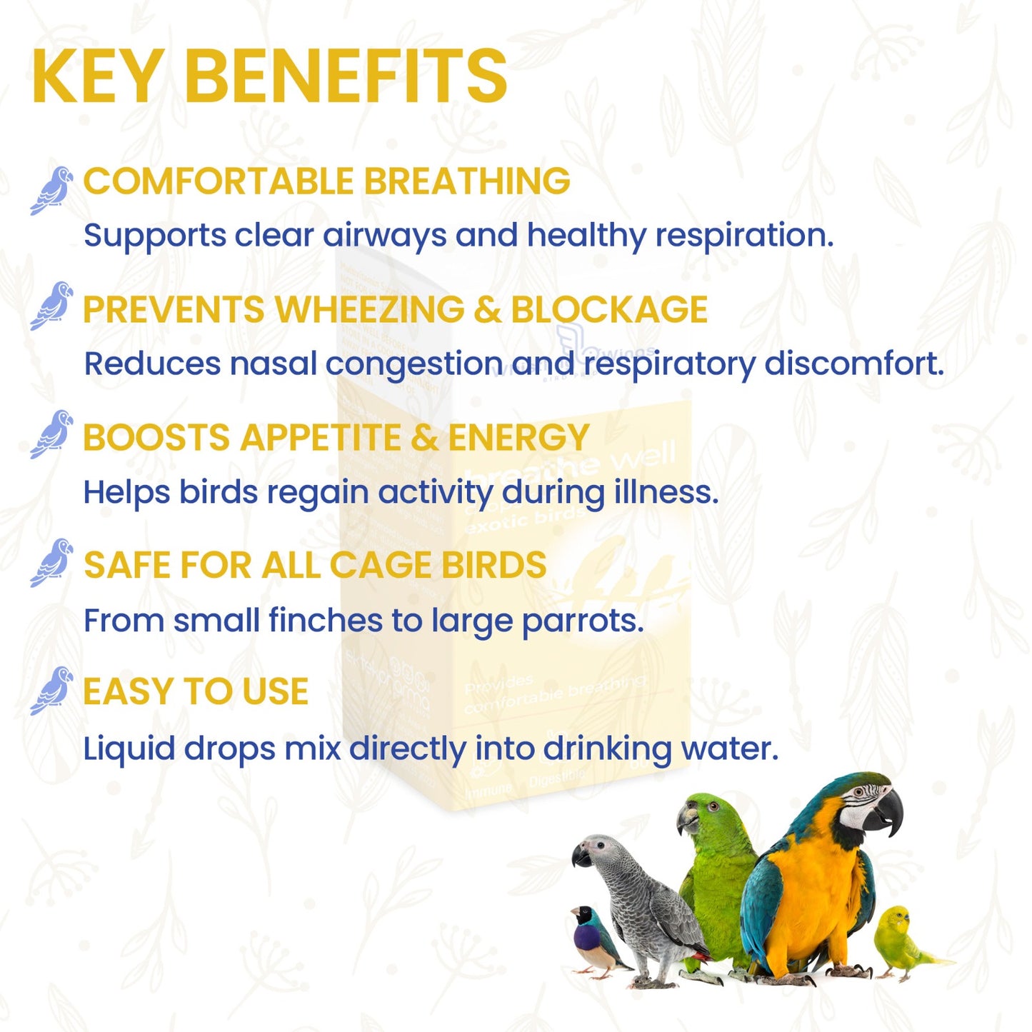Breathe Well Drops for Exotic Birds 60 ML – Respiratory Support for Cage Birds | Ektek Global